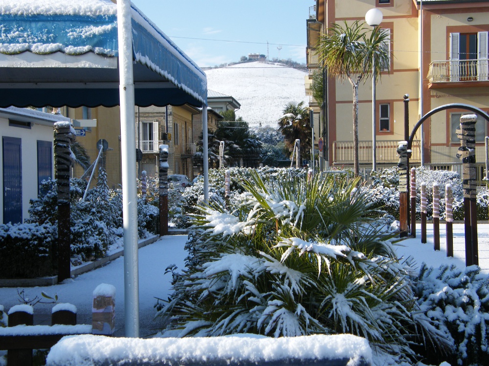 2010